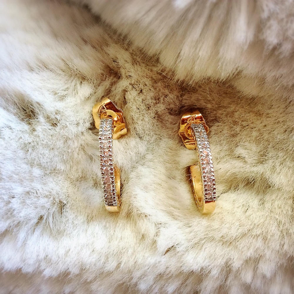 ⚜ Elegant Hoop Earring ⚜